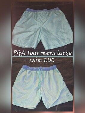 PGA Tour Men's Aqua and White Pinstripe Swim Trunks